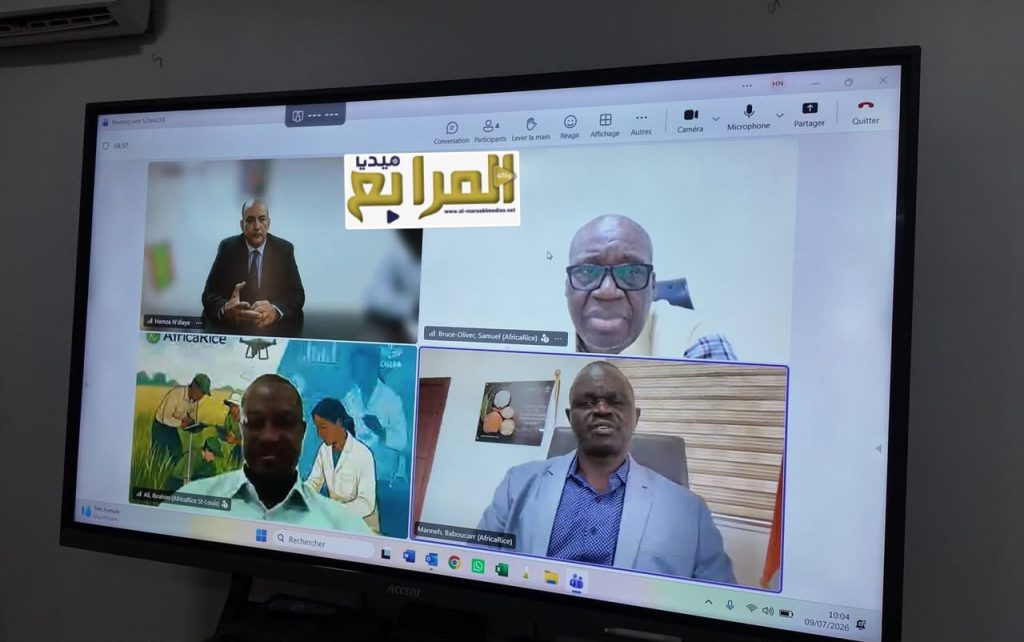لتطوير منظومة الإنتاج والتسويق .. صونادير تبحث آفاق التعاون الاستراتيجي مع المركز الإفريقي للأرز
