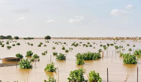 من أنباء الغيث .. أمطار على قرى وتجمعات في أربع ولايات”مقاييس”